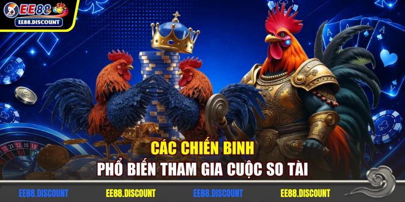 Các chiến binh phổ biến tham gia cuộc so tài