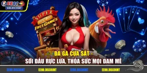 Đá Gà Cựa Sắt - Sới Đấu Rực Lửa, Thỏa Sức Mọi Đam Mê