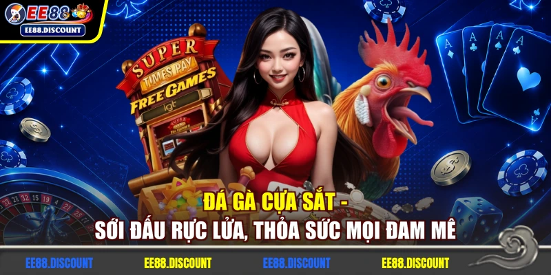 Đá Gà Cựa Sắt - Sới Đấu Rực Lửa, Thỏa Sức Mọi Đam Mê