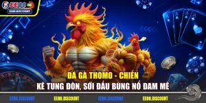 Đá Gà Thomo - Chiến Kê Tung Đòn, Sới Đấu Bùng Nổ Đam Mê