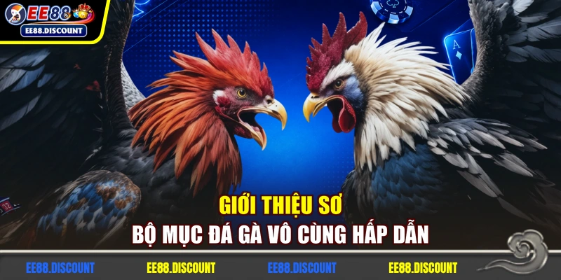 Giới thiệu sơ bộ mục đá gà vô cùng hấp dẫn