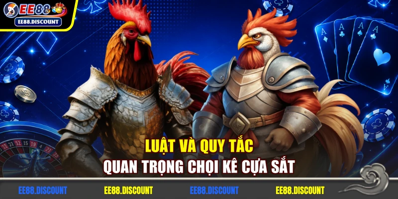 Luật và quy tắc quan trọng chọi kê cựa sắt