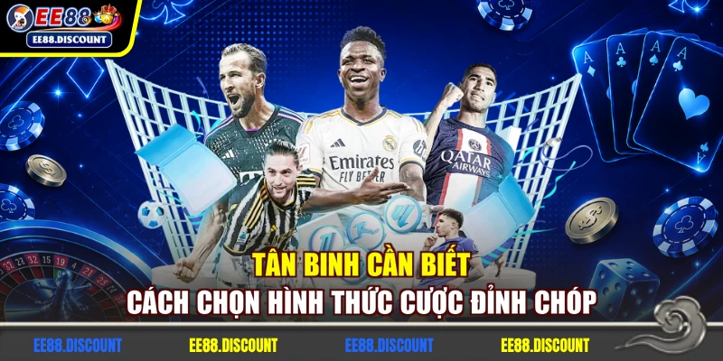 Tân binh cần biết cách chọn hình thức cược đỉnh chóp